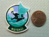 Second view of the Motonui Needle Minder