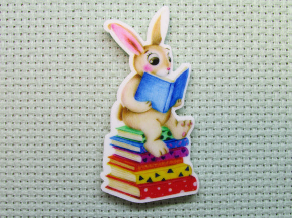 First view of the A Book Reading Bunny Needle Minder