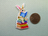 Second view of the A Book Reading Bunny Needle Minder