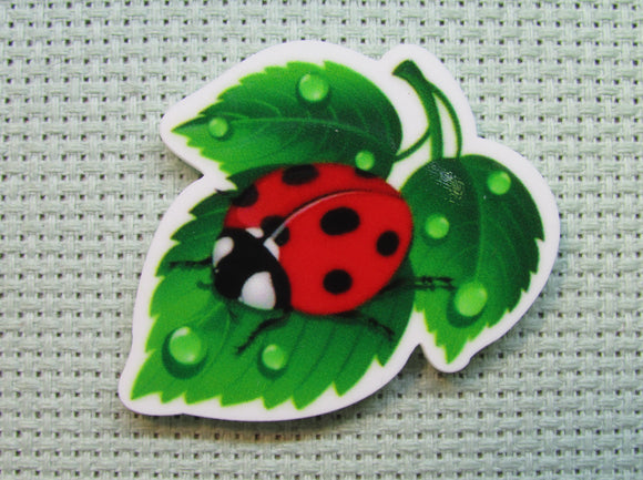 First view of the Adorable Lady Bug on a Green Leaf Needle Minder