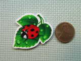 Second view of the Adorable Lady Bug on a Green Leaf Needle Minder