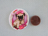 Second view of the Pug in a Pink Circle Needle Minder