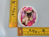 Third view of the Pug in a Pink Circle Needle Minder