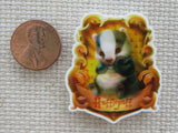 Second view of Hufflepuff Badger Needle Minder.
