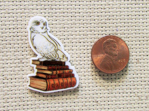 First view of the Wizarding Needle Minder