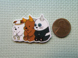 Second view of the Three Bears Needle Minder