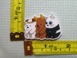 Third view of the Three Bears Needle Minder