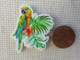 Beautiful Blue and Gold Macaw Needle Minder, Cover Minder, Magnet