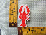 Third view of the Lobster or Crayfish Needle Minder