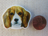 Second view of Beagle Needle Minder.