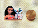 Second view of the Moana, Pua and Hei Hei Needle Minder