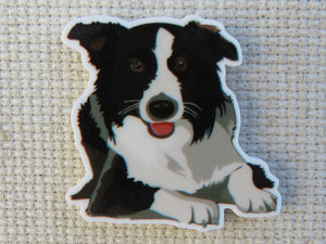 First view of Black and White Australian Shepherd Needle Minder.