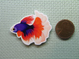 Second view of the Beautiful Betta Fish Needle Minder