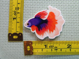 Third view of the Beautiful Betta Fish Needle Minder