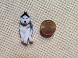 Second view of the Malamute Needle Minder