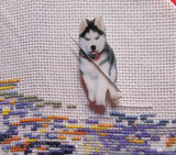 Third view of the Malamute Needle Minder