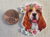 Second view of Basset Hound Needle Minder.