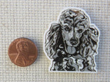 Second view of Poodle Needle Minder.