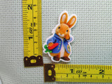 Third view of the Easter Bunny Wearing a Coat Needle Minder