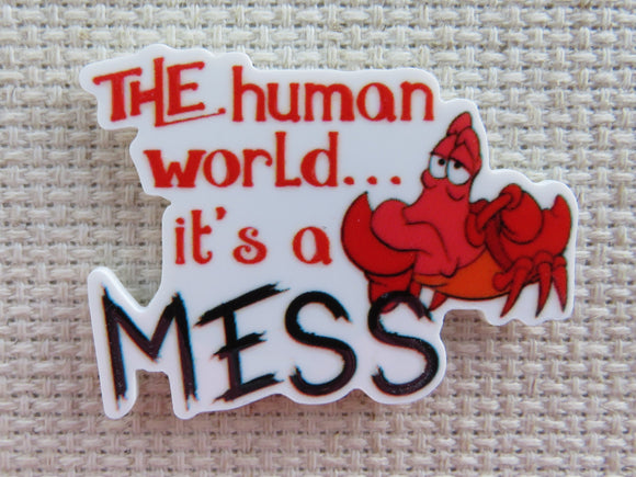 First view of The Human World....It's A MESS Needle Minder.