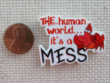Second view of The Human World....It's A MESS Needle Minder.
