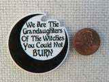 Second view of We Are The Grandaughters of the Witches You Could Not BURN Needle Minder.