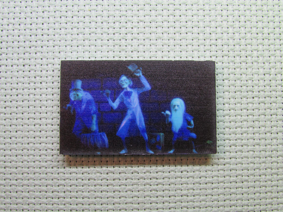 First view of the Hitchhiking Ghosts Needle Minder