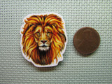 Second view of the King of the Jungle Needle Minder