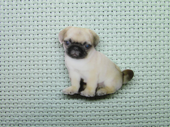 First view of the Pug Needle Minder