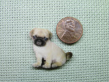 Second view of the Pug Needle Minder