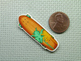 Second view of the Palm Tree Skateboard Needle Minder