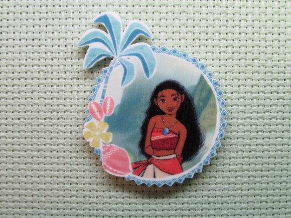 First view of the Moana Needle Minder