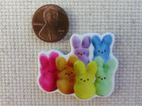 Second view of Peeps! Needle Minder.