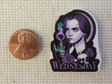 Second view of Wednesday Needle Minder.