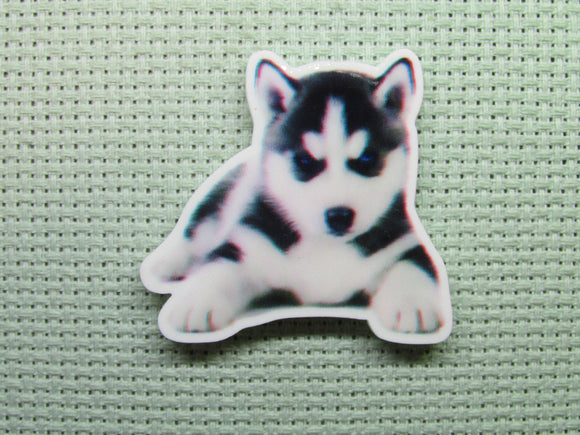 First view of the Handsome Husky Puppy Needle Minder