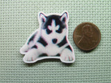 Second view of the Handsome Husky Puppy Needle Minder