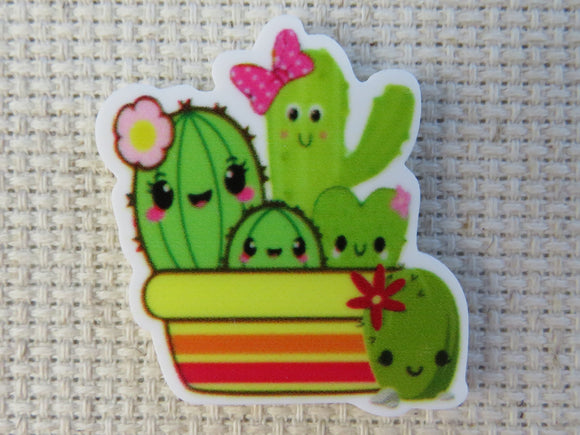 First view of Happy Cactus Plants Needle Minder.