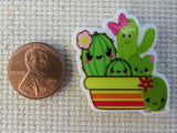 Second view of Happy Cactus Plants Needle Minder.