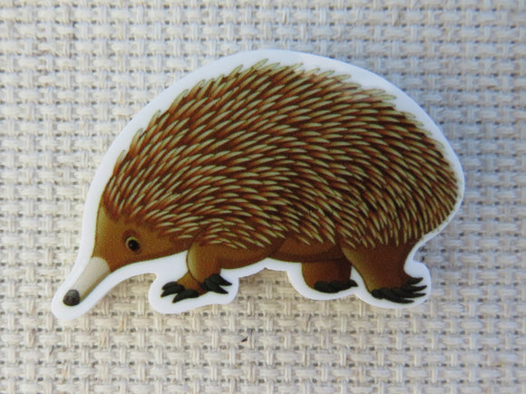 First view of echidna needle minder.