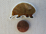 Second view of echidna needle minder.