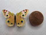 Second view of the Brown Moth Needle Minder