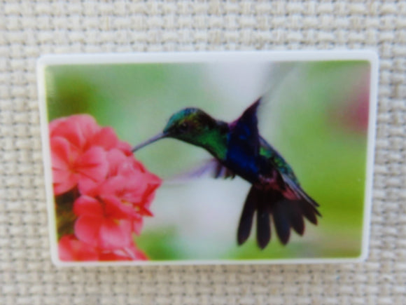 First view of Hummingbird Sipping from a Pink Flower Needle Minder.