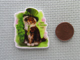 Second view of the St Patrick's Day Tabby Cat Needle Minder