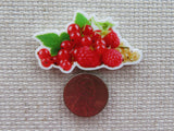 Second view of Red Berries Needle Minder.