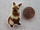 Second view of I Just Love Bunnies Needle Minder.