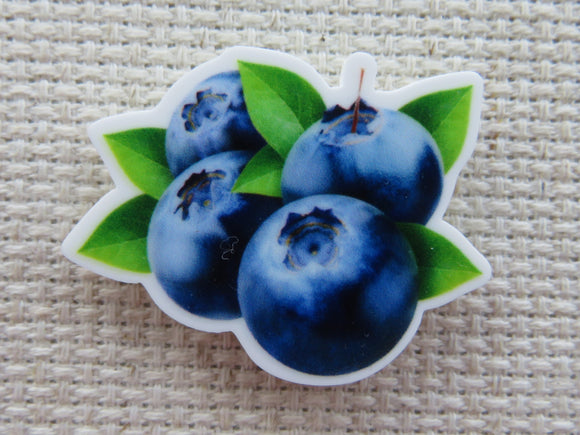 First view of blueberry needle minder.