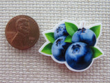 Second view of blueberry needle minder.