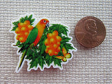 Second view of Orange and Green Parrot Needle Minder.