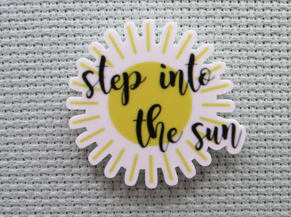 First view of the Step Into The Sun Needle Minder