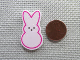 Second view of the Pink Peep Needle Minder